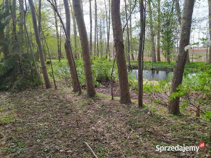 sprzedam dom las wielkopolskie sprzedam