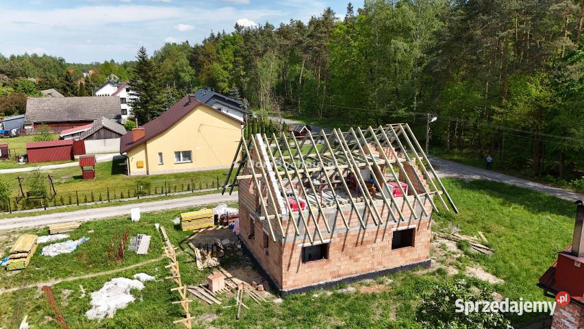 sprzedaży domu wolnostojącego 11747m2 Dąbrówka sprzedam