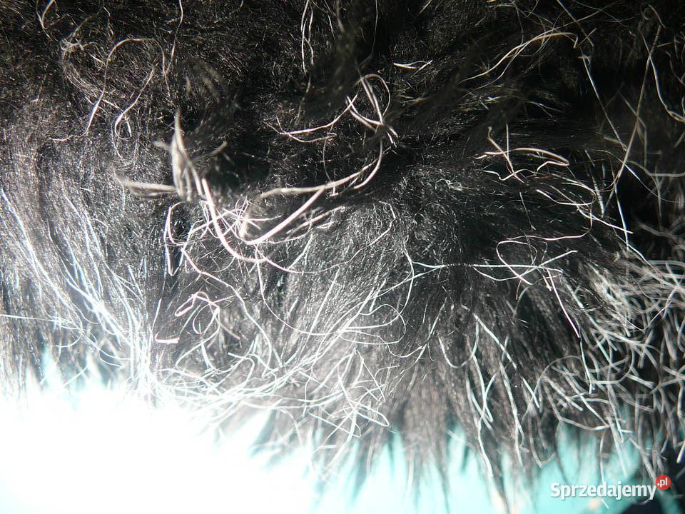 Zestaw czapka czarna futro chusta biała i szalik Wrocław