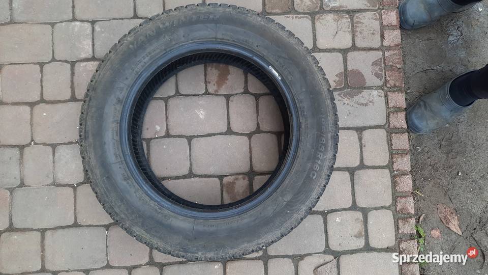 Opony zimowe Dayton 2 sztuki Jelno