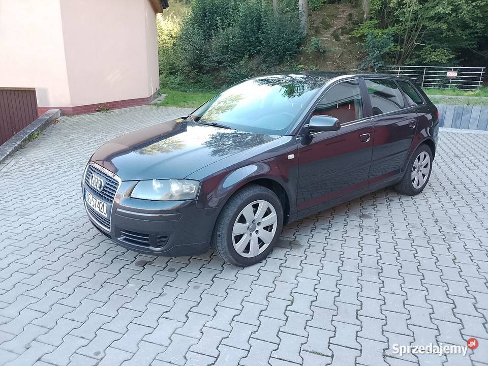 Sprzedam Audi a3 19TDI 105 2006r klima stan centralny zamek A3 Grybów