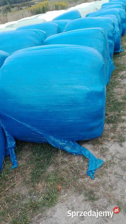 sianokiszonka z koniczyny Sieniawa