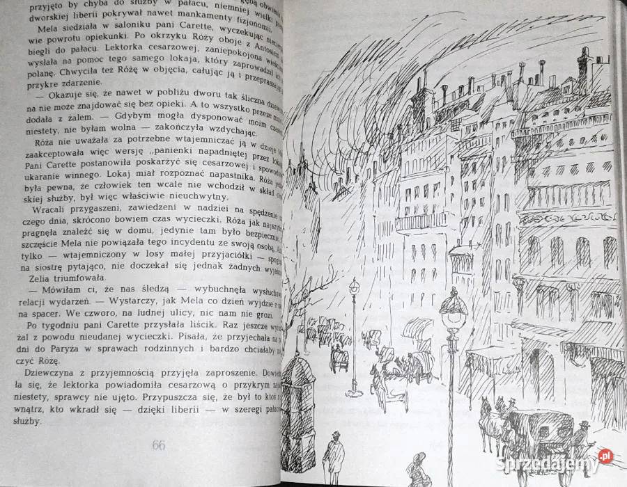 Talerz z Napoleonem Cz 1 Halina Popławska Chełm