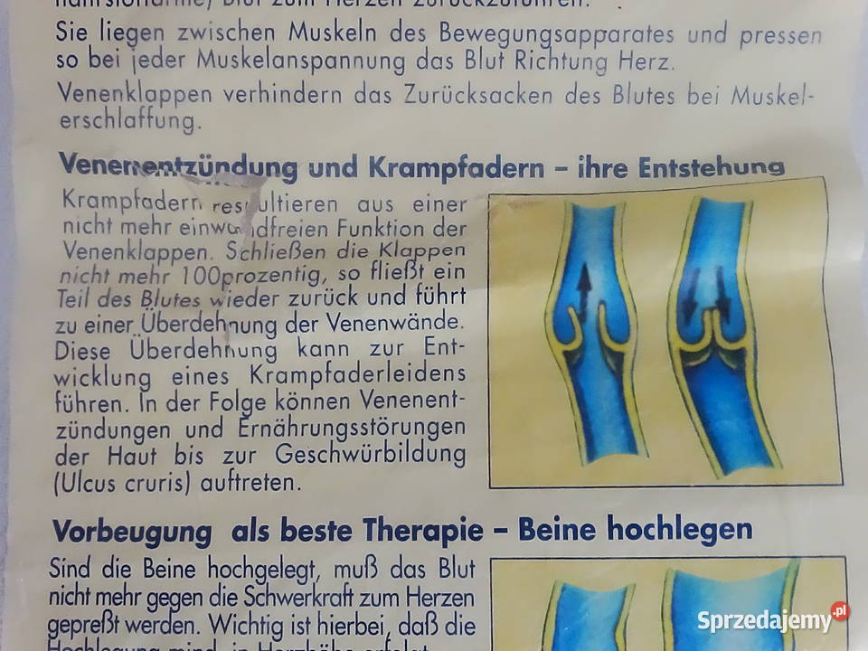 Poduszkapodkładka nóg Ortho VENENKISSEN 40x70x18 Biłgoraj