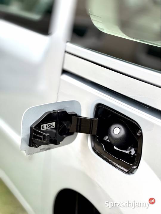 Renault Kangoo Oasis podkarpackie Łańcut