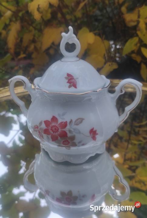 SECESYJNA CUKIERNICA Oscar Schaller Co Porcelana i szkło Pabianice