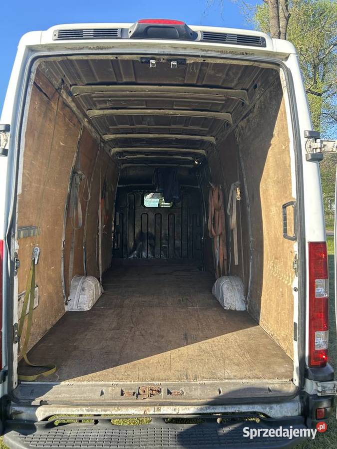 Iveco Daily Iveco Gorzów Wielkopolski