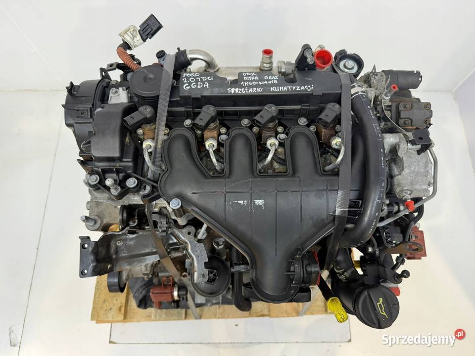 SILNIK G6DA Ford C C 20 TDCI 136 G6DB G6DD G6DG Chełm