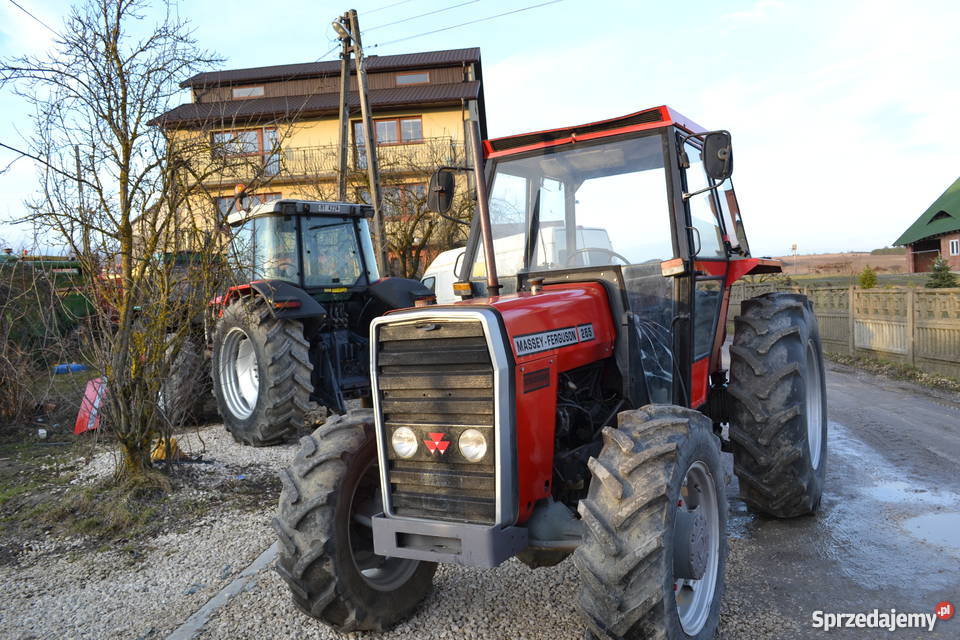 Massey Ferguson 265 ursus 3514 zetor john raty świętokrzyskie Brzeziny