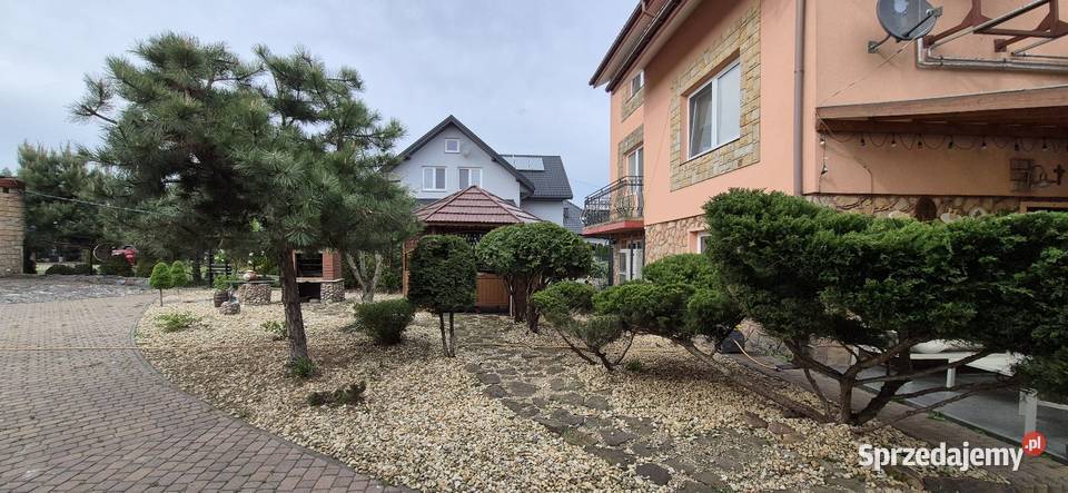 Usługi leśno ogrodnicze Kurnędz prace ogrodowe