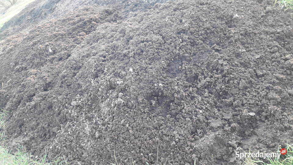 Kurzak Wapno rozsiewaniewynajem transport do 20 Iłża