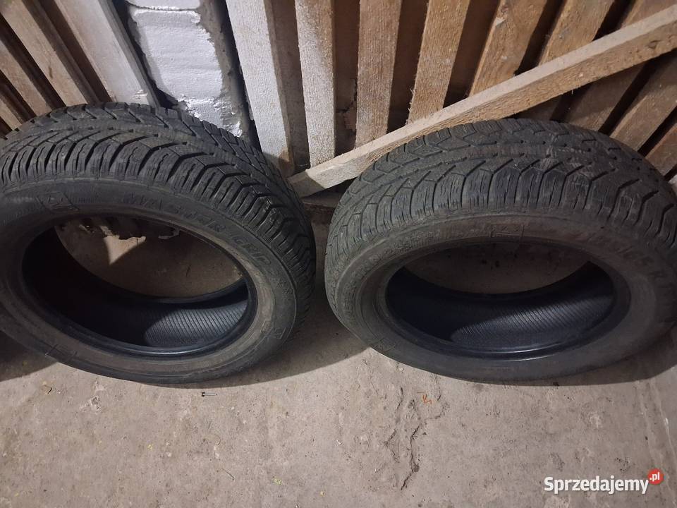 Opony zimowe Tczew