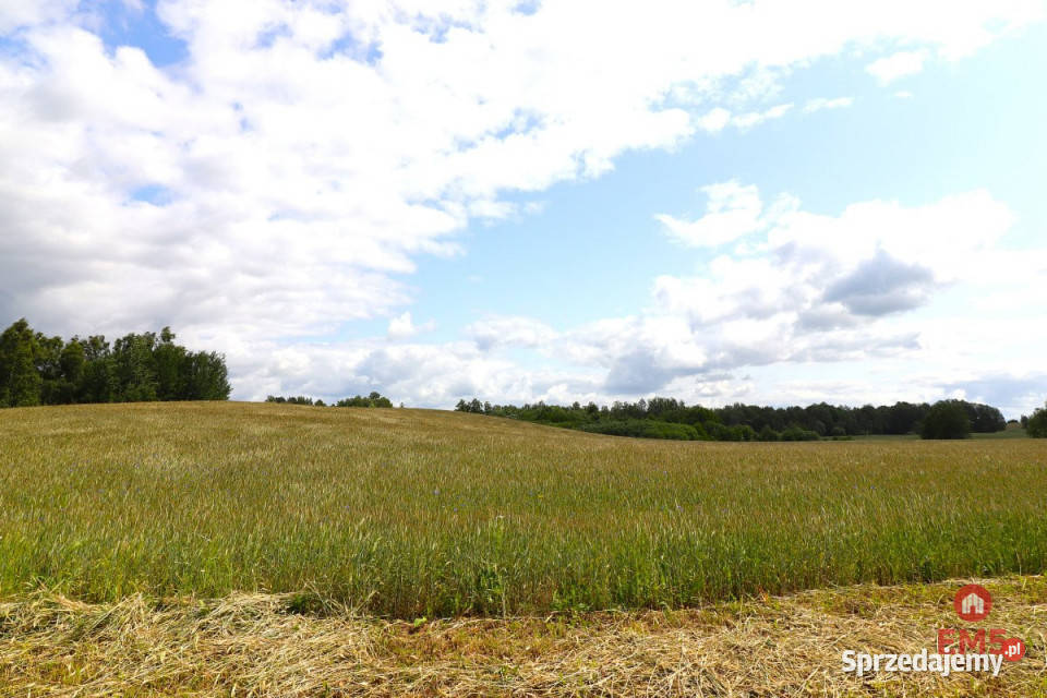 Działka do sprzedania 55000m2 Garbas Drugi sprzedam
