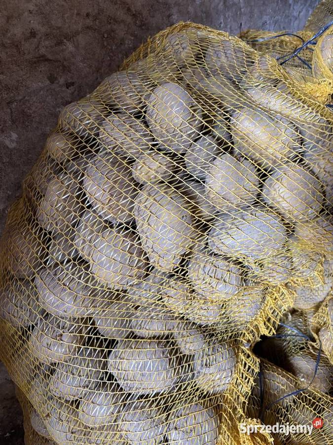 Sprzedam ziemniaki jadalnedo sadzenia 3 odmiany