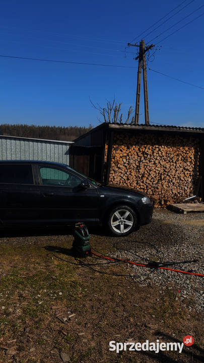Audi A3 8P 20 TDI quattro Czystogarb sprzedam