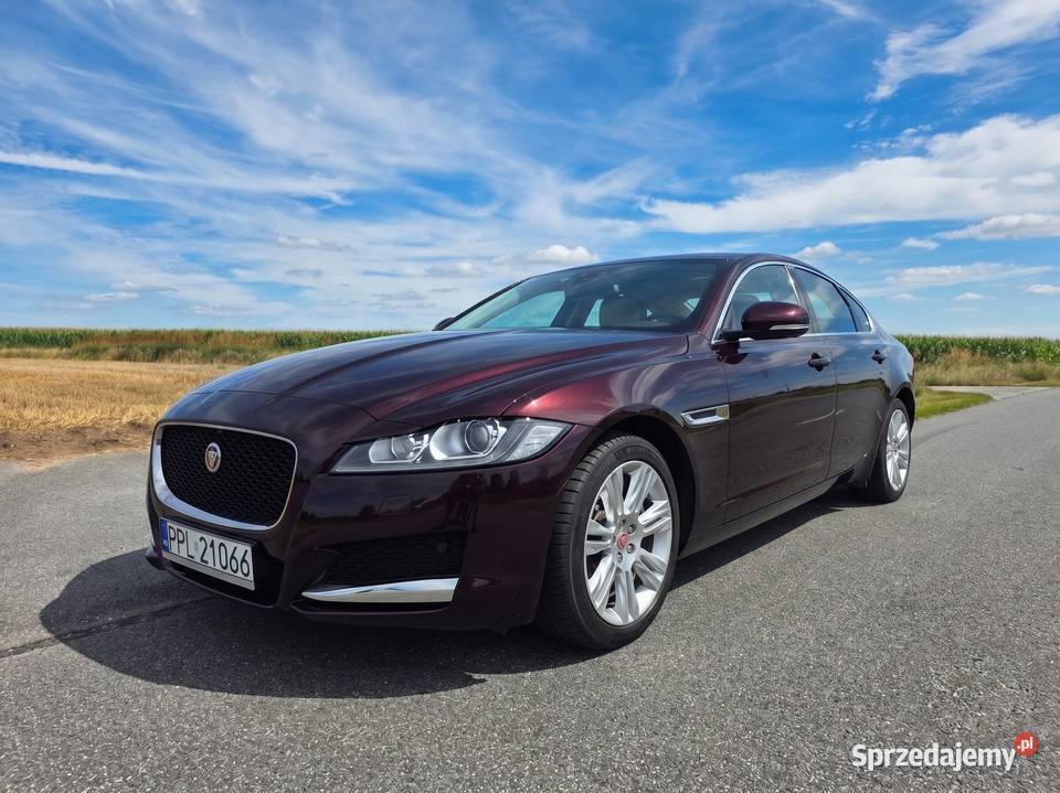 Jaguar XF 20 GTDi Prestige Salon 95 Zjawiskowy 2000cm3 Pleszew