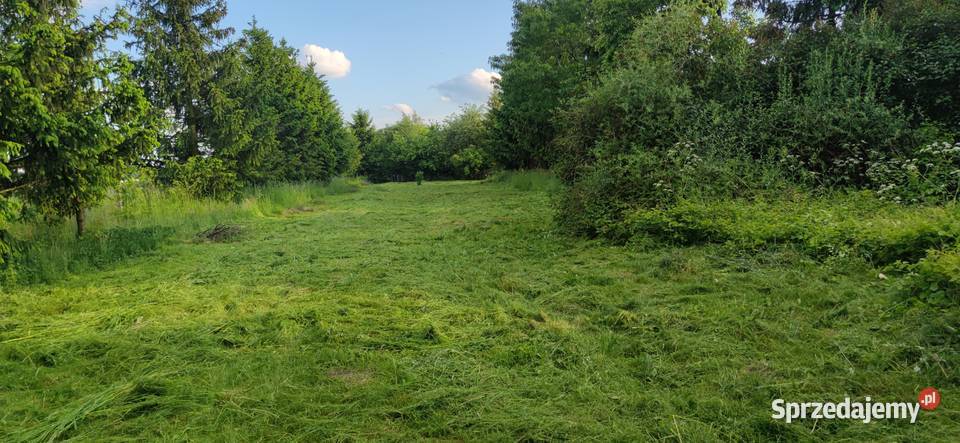 Na sprzedaż działka 119 ha w Sadach gmPotworów 11900m2 Sprzedaż Sady-Kolonia