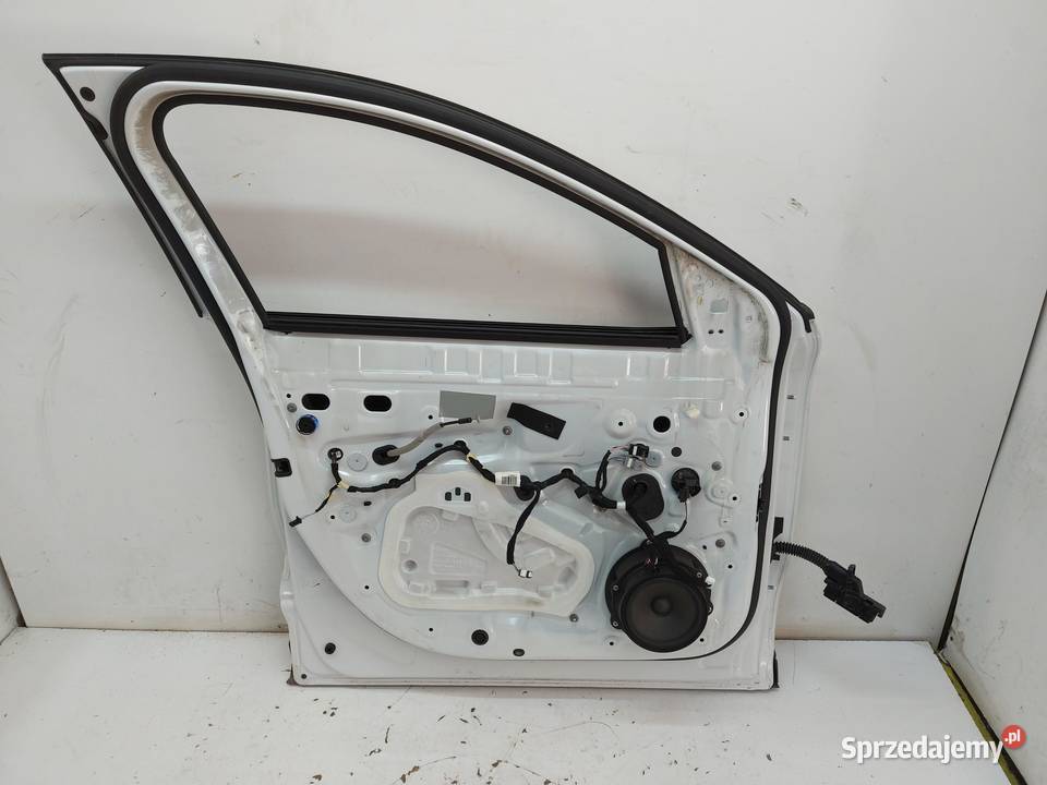 RENAULT Scenic ETech V 5 Drzwi przód lewy