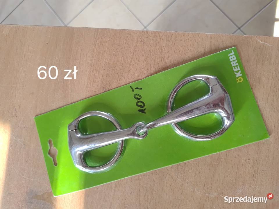 CZAPSY COVALIERO XL Kazanów