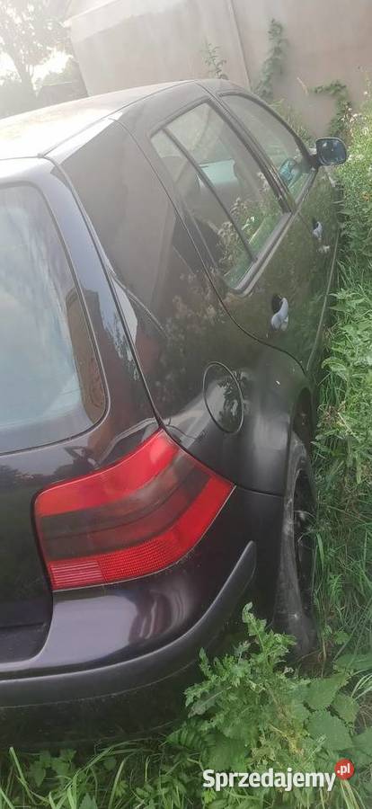 Golf 4 pomorskie
