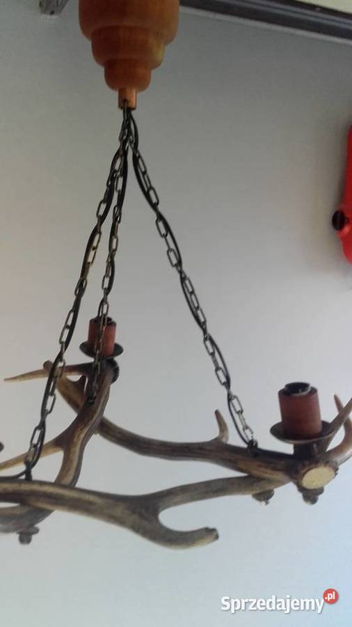 Piękny żyrandol z poroża Jelenia Gniezno