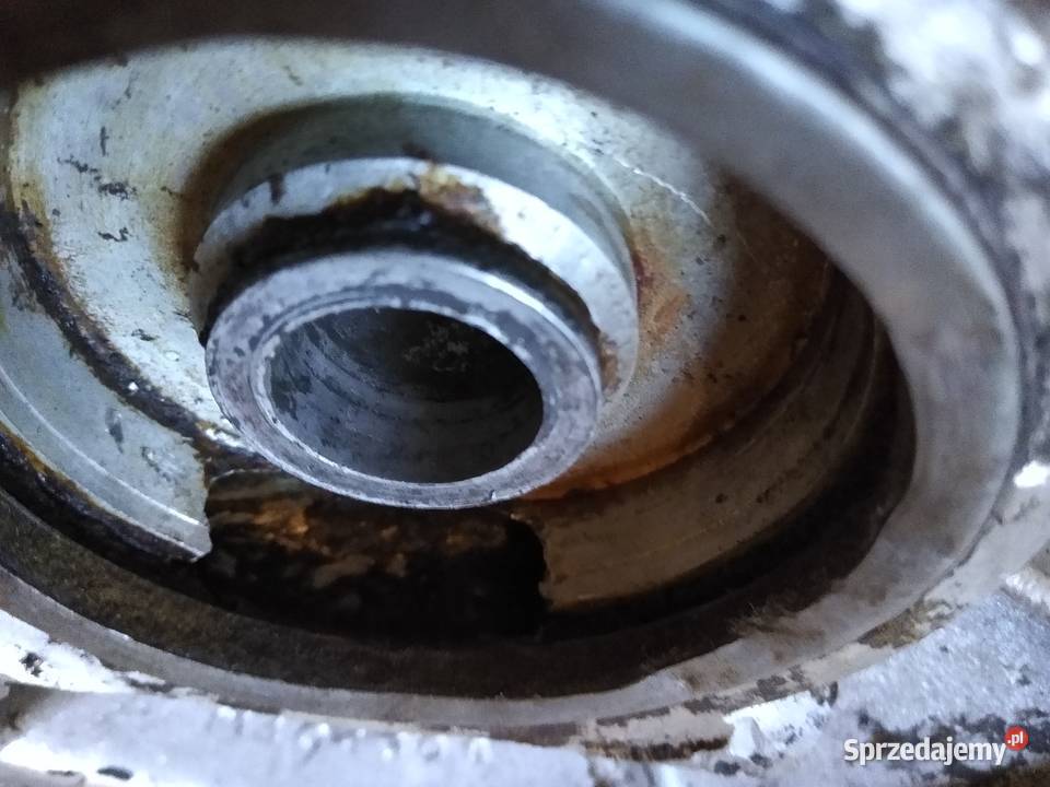 Junak m10 szczekotrzymacz tył