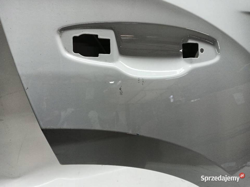 DRZWI TYŁ TYLNE PRAWE VW TROC 2GA833312L wielkopolskie