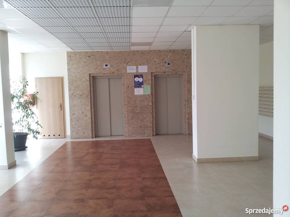 Bezpośrednio 3 pokoje Krochmalna Warszawa mazowieckie Warszawa