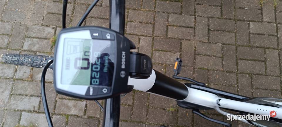 Rower elektryczny gazelle Borne Sulinowo