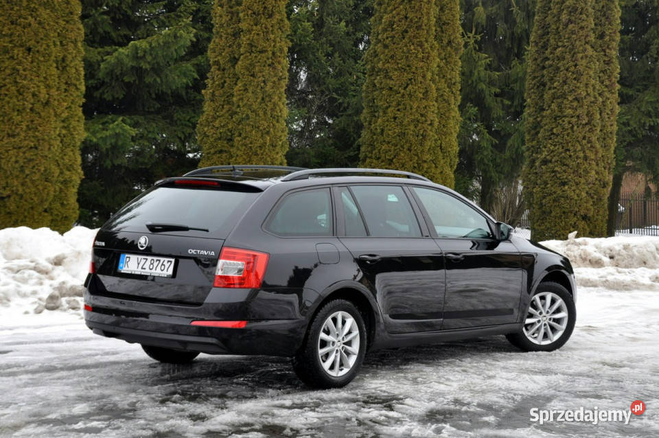 koda Octavia 20TDI150Radar Ostrów Mazowiecka