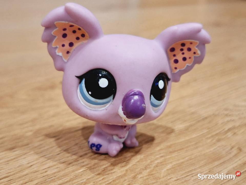 Koala kropki Littlest Pet Shop Braniewo