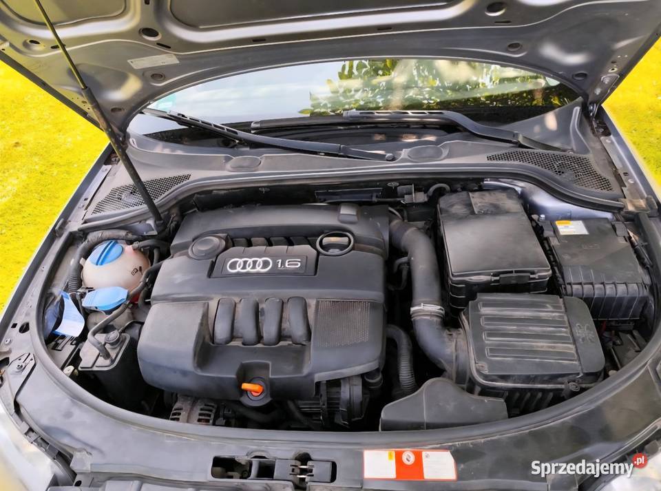 Audi A3 Typ 8P Ambition szary Lubartów