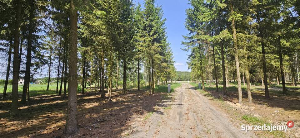 Działka bud 1202M2 WZ STUDNIE