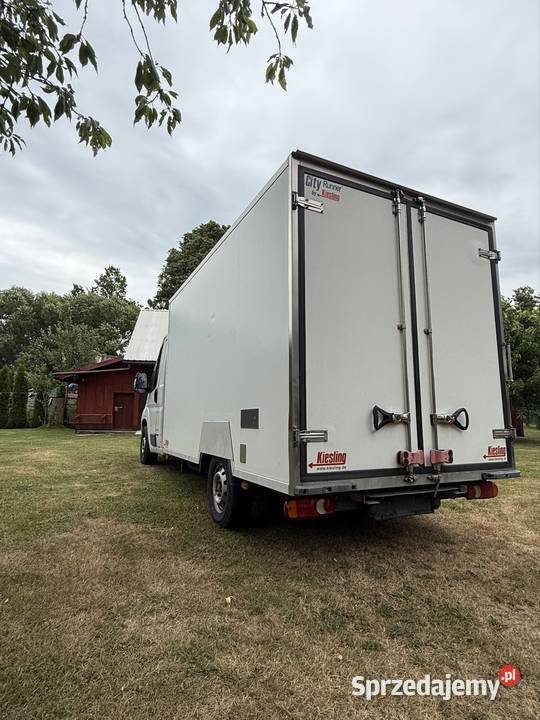Fiat Ducato 23 chłodnia 2017 Stalowa Wola