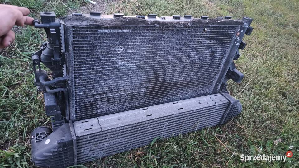 Chłodnice s kompletne wielkopolskie Bucz