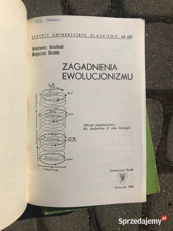 ZAGADNIENIA EWOLUCJONIZMU SERAFIŃSKI STRZELEC Kielce