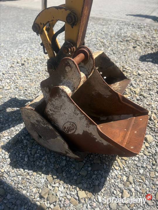 Cat 305 małopolskie Niepołomice