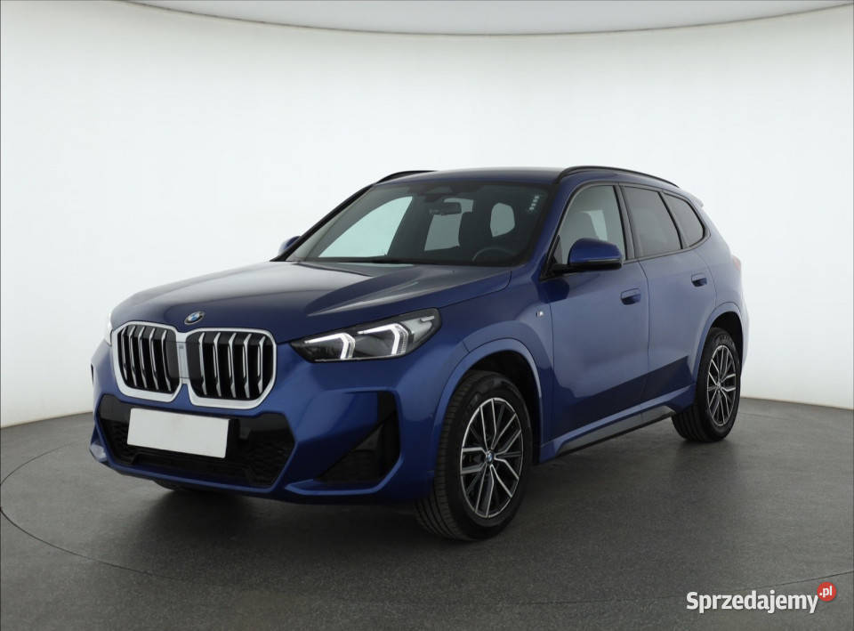 BMW X1 sDrive20i radio Katowice