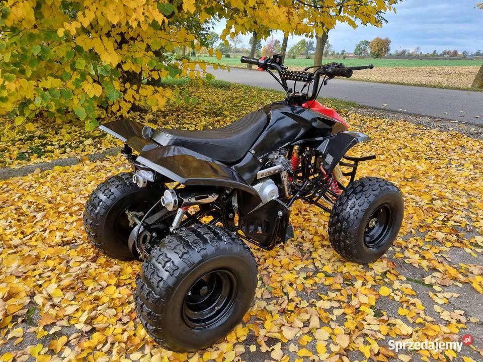 Quad Jumper 125cc Duża Rama 11r koła 8 Stan Nowy garażowany Kruszwica