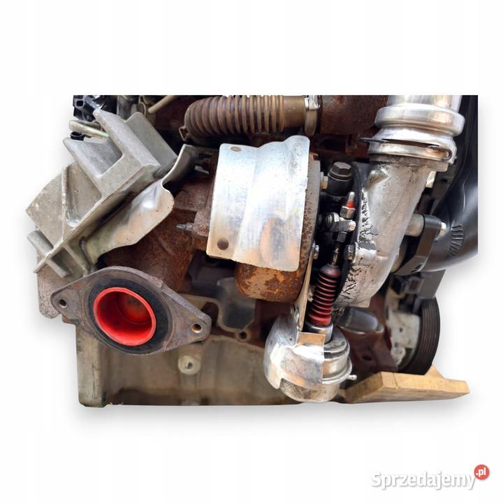 SILNIK K9K410 Nissan Juke F15 Qashqai 15 DCI 110 Chełm