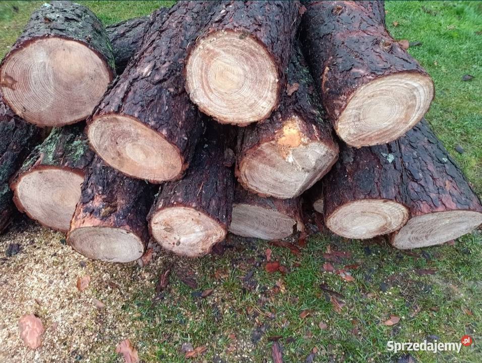 Drewno OpałoweSosna Olszyna BrzozaSucheTransport Lipno