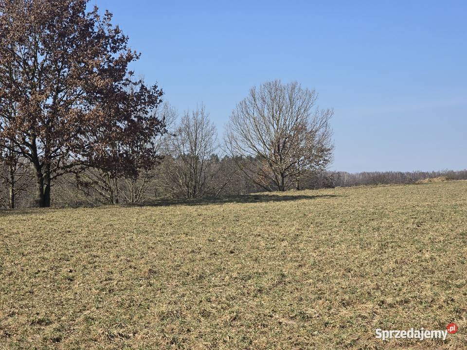 Budowlana Jezioro Dąbrowa Dąbrówno