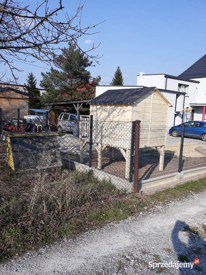 dzieci Gródków