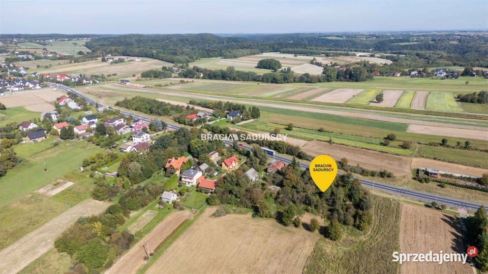 sprzedaży gruntu 9800m2 Wierzchowie Grunty i działki