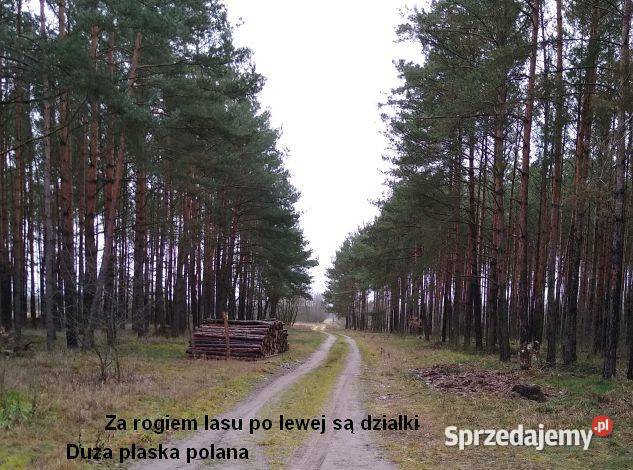 Sprzedam działki w Sosnowcu Wielkim kRynarzewa Rynarzewo sprzedam