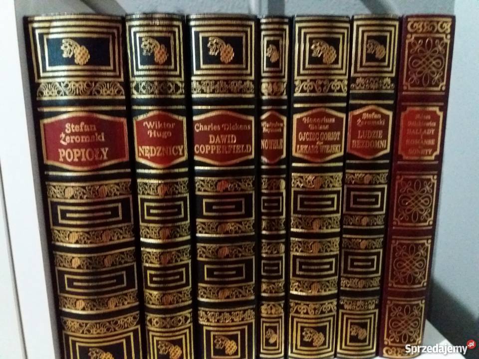 Piękna kolekcja literatury polskiej i światowej Lublin