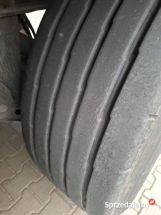 Chłodnia KroneDoppelstock Rejestrator temp