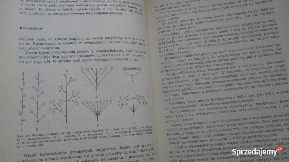 Świat roślin Prończuk roślinność przyroda Łódź