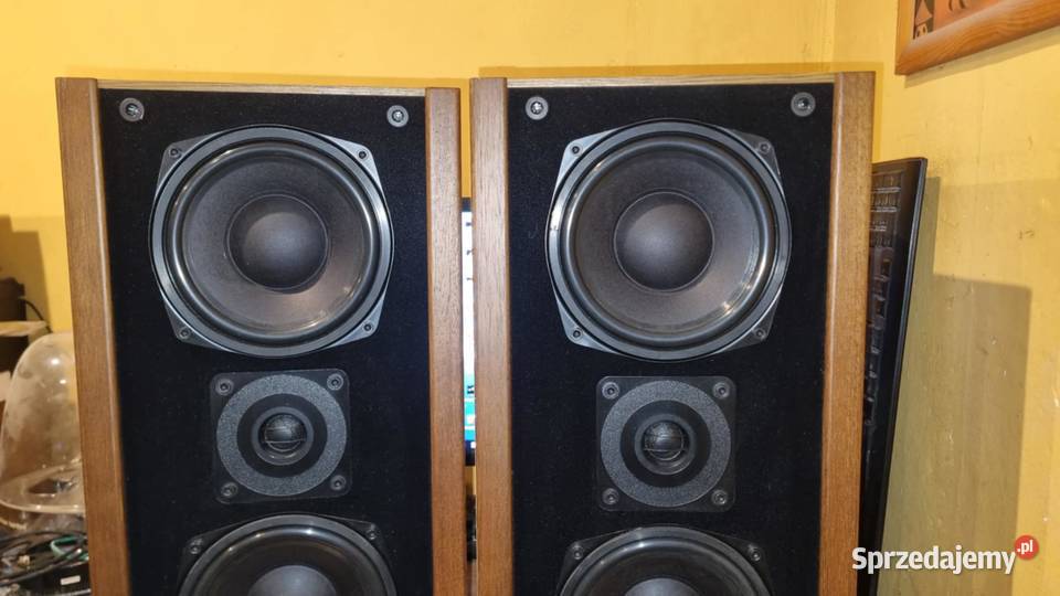 Znakomite audiofilskie kolumny ELAC ELR 65 Słuchawki i głośniki łódzkie Warta