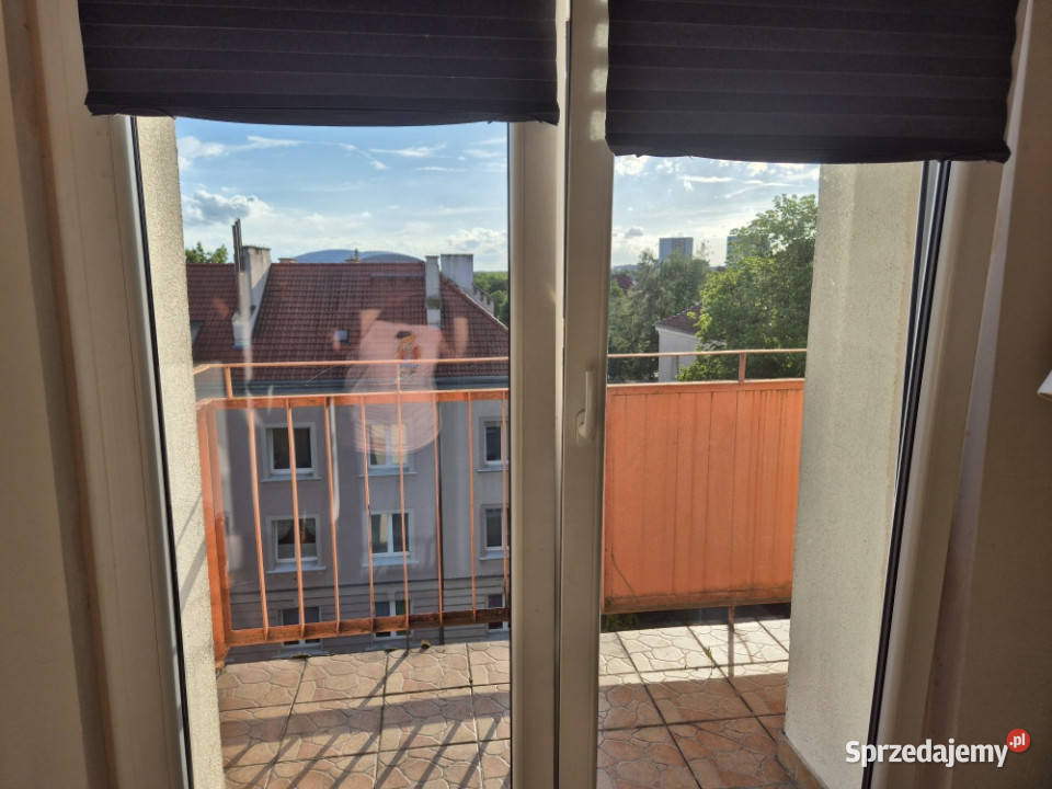 Wynajmę mieszkanie studentów znajomych 3 Poznań sprzedam